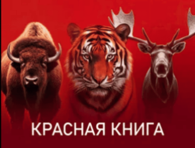 Красная книга (сериал, 2022) Россия