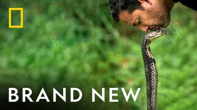 Дэвид Блейн: Не пытайтесь (2025) сериал / США