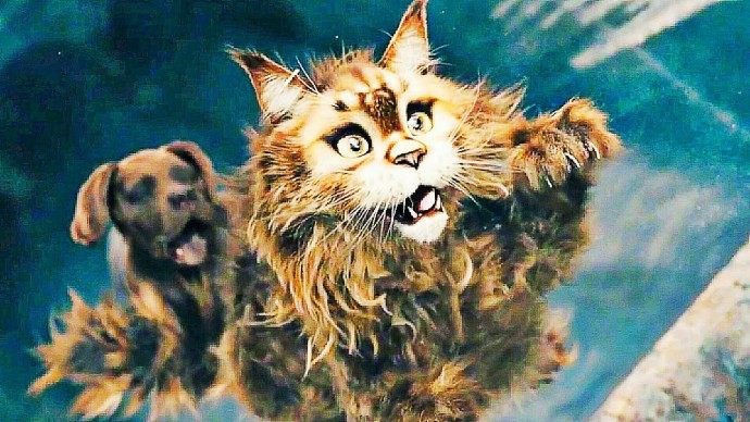 Кот и пёс 2024